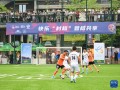 碧桂园足球员工资高吗，碧桂园足球员工资高吗知乎