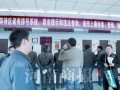 交通违章查询大厅，交通违章查询网官方网站