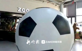 足球内胆可以用水洗吗，足球内胆可以用水洗吗